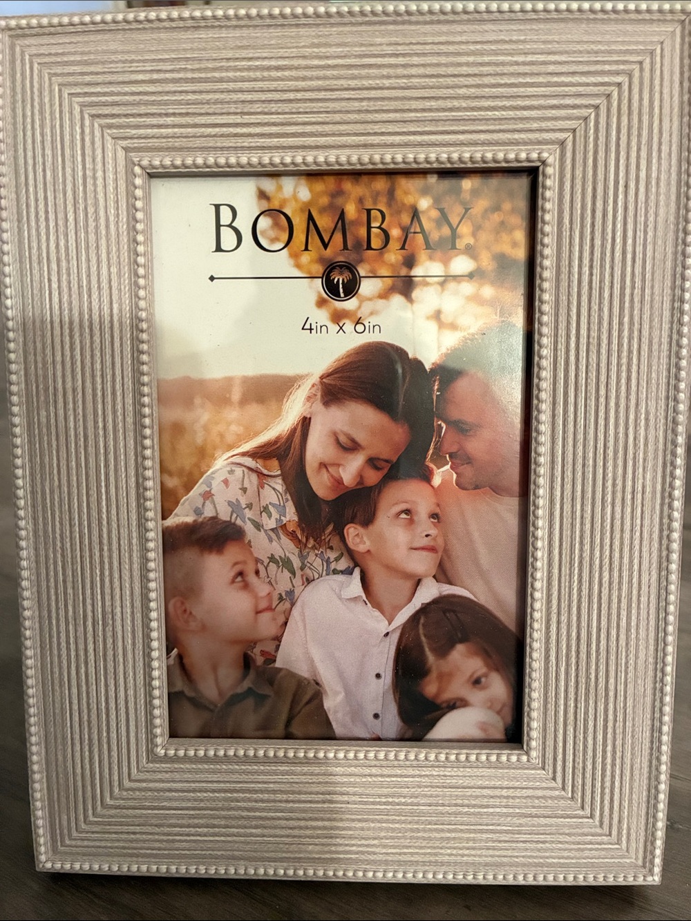 Bombay Silver Ribbed Beaded Photo Frame